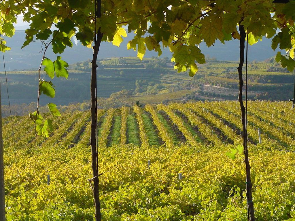 B&B Camignone Franciacorta パッシラーノ エクステリア 写真