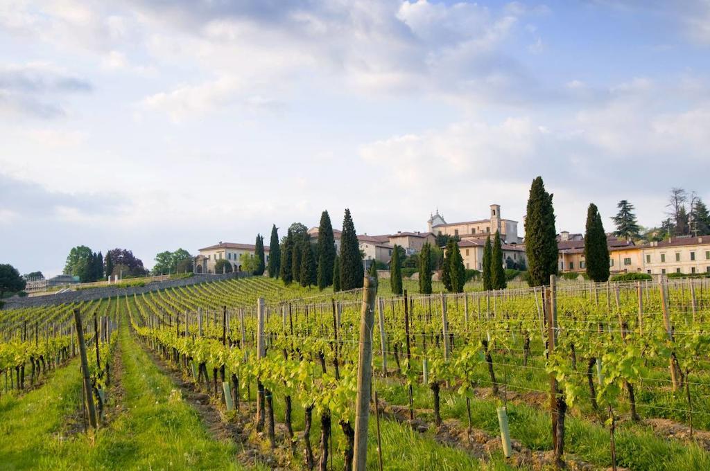 B&B Camignone Franciacorta パッシラーノ エクステリア 写真